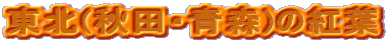 k(HcEX)̍gt